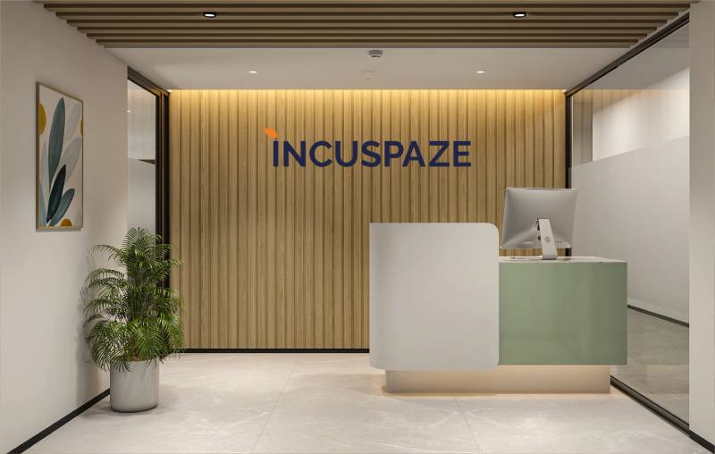 Incuspaze photo 1