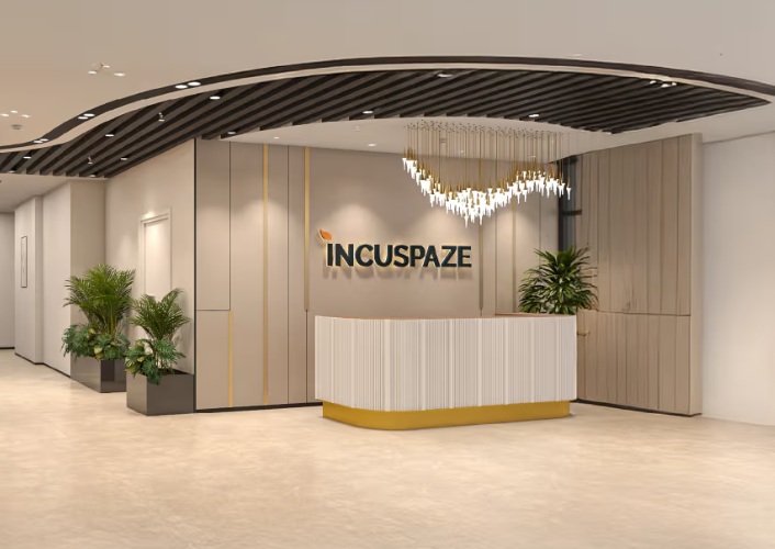 Incuspaze photo 1