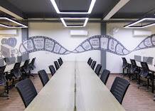 SharkSpace photo 1